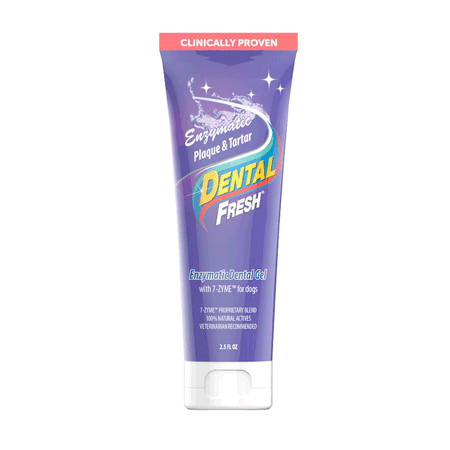 Dental Fresh gel enzymatyczny