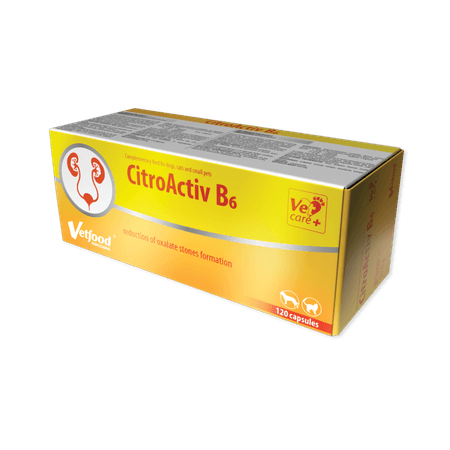 CitroActiv B6 120 kapsułek