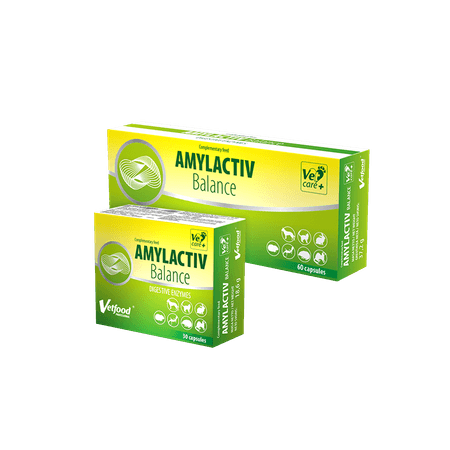 Amylactiv Balance