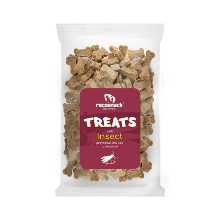 Insect Przysmaki z owadami