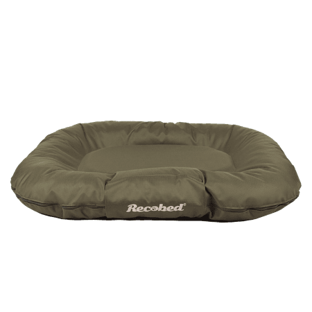 Ponton Baltic Oliwka